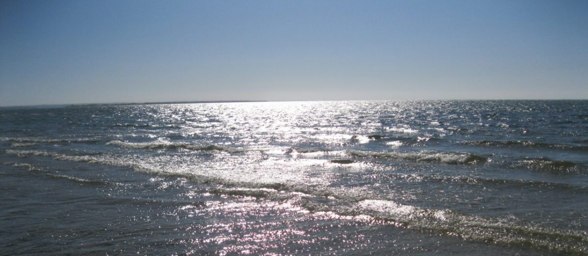 New from Nekyia&nbsp;Press